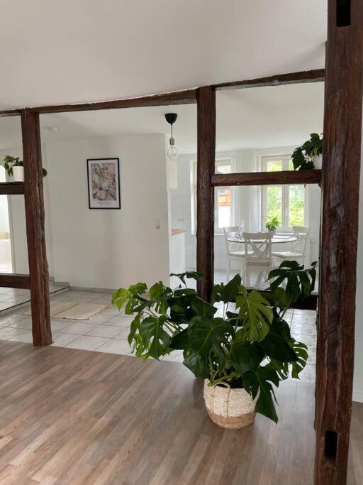 Charming Apartment Blankenburg  Buitenkant foto